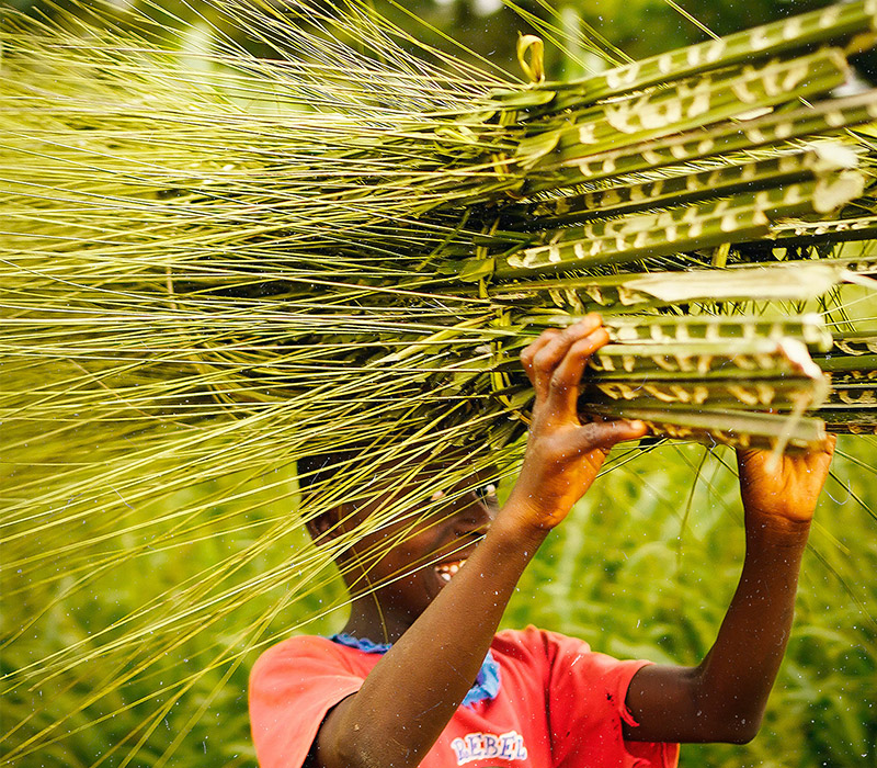 Agribusiness Financial Management