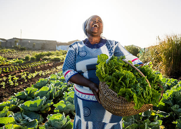SEFAA Agribusiness Growth Funding for African SMEs