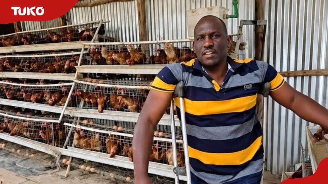 Kenyan Kiambu Man Abandoned by Dad as Baby Turns Rejection into Success Through Poultry Farming