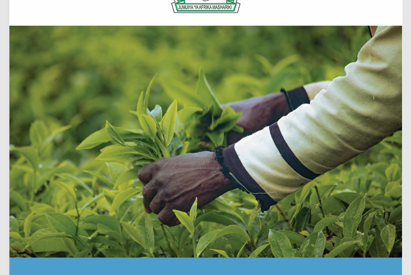 Strengthening CAADP Mutual Accountability in the Agriculture Sector through Robust Regional Joint Sector Reviews in East Africa
