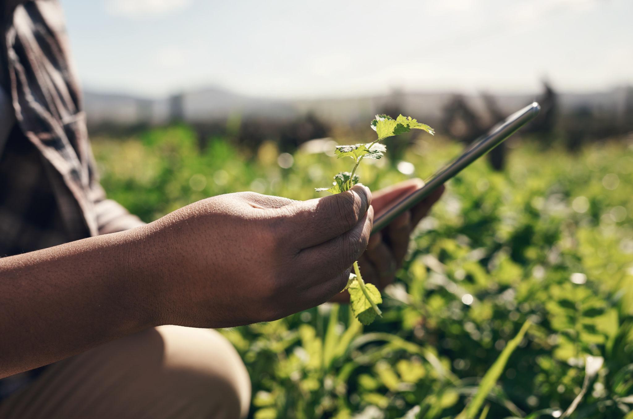 How Africa’s Agrifood Policy Is Delivering Transformation Across the Continent