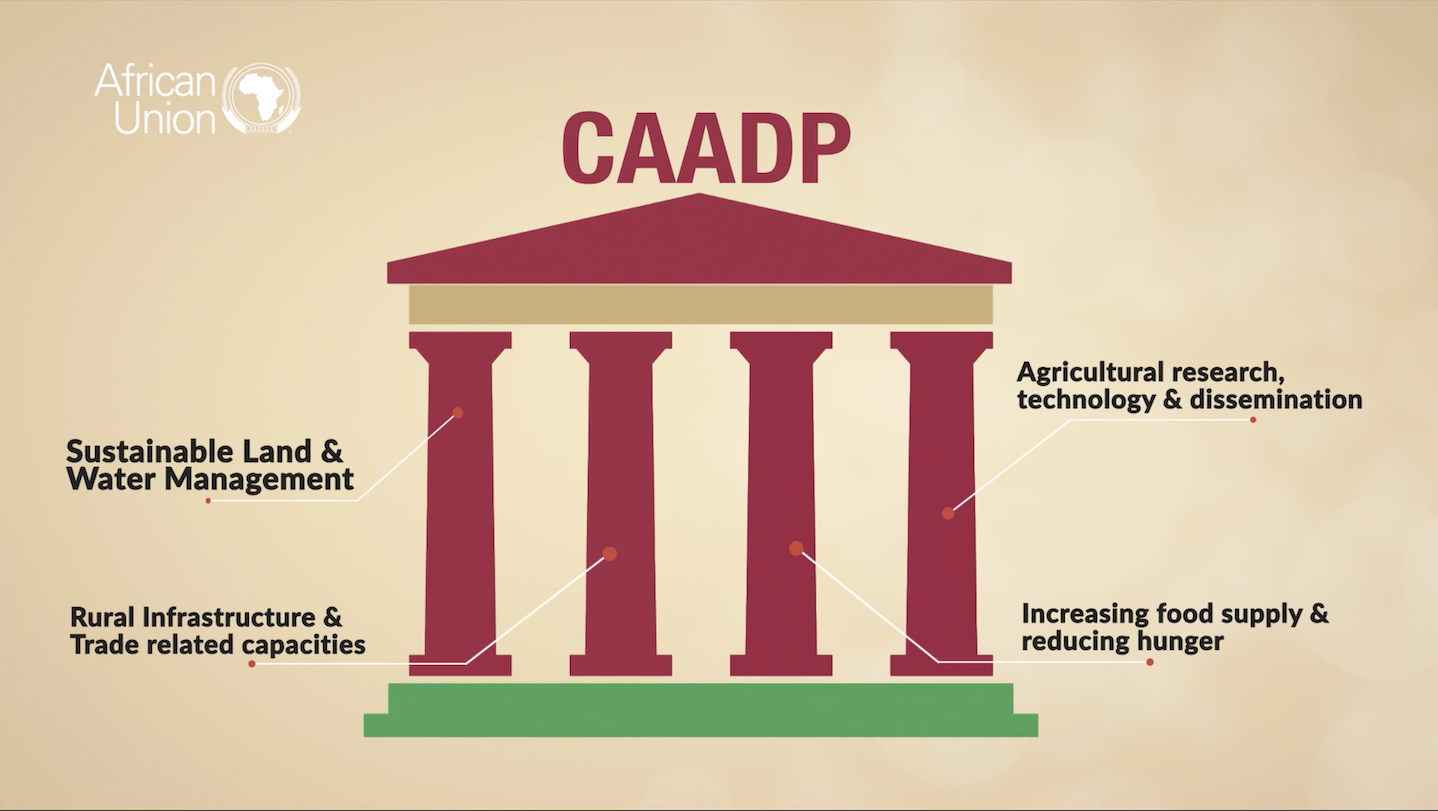 CAADP Strategy and Action Plan (2026–2035)