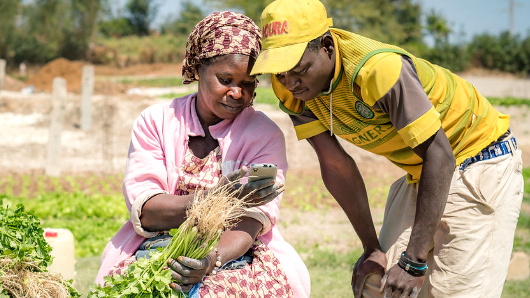 Agrifood Systems